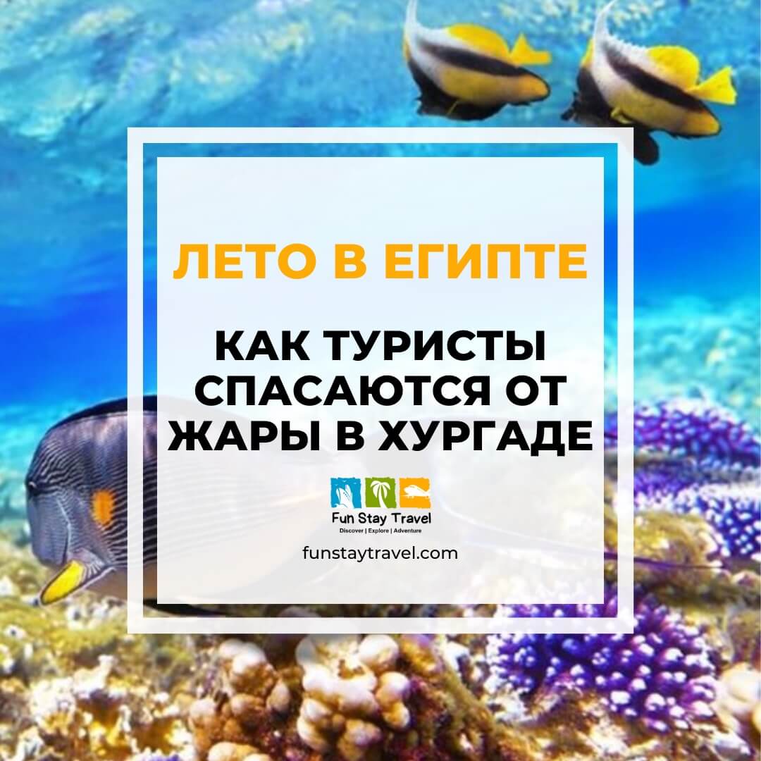 Лето в Египте