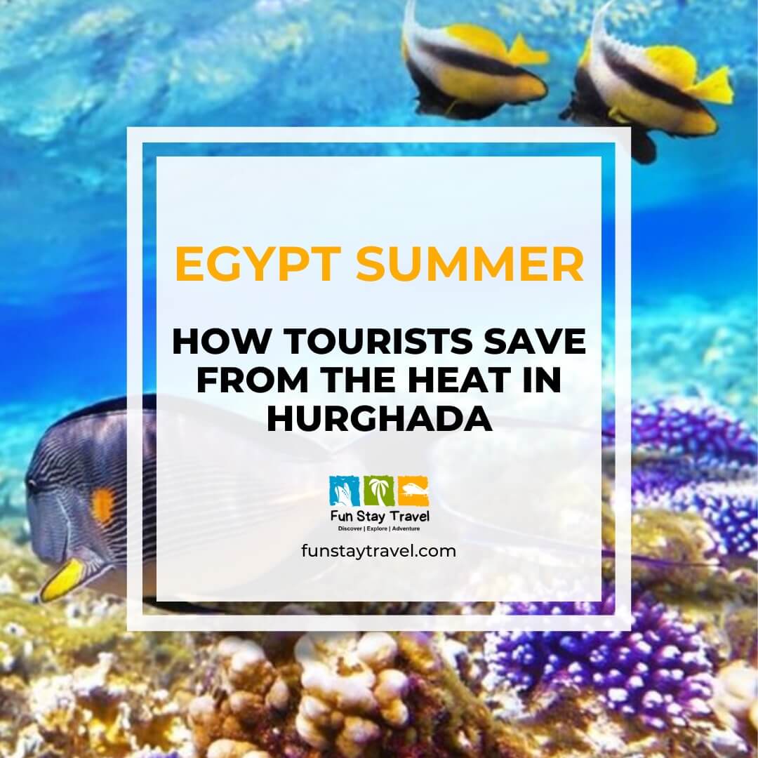 Egypt Summer 