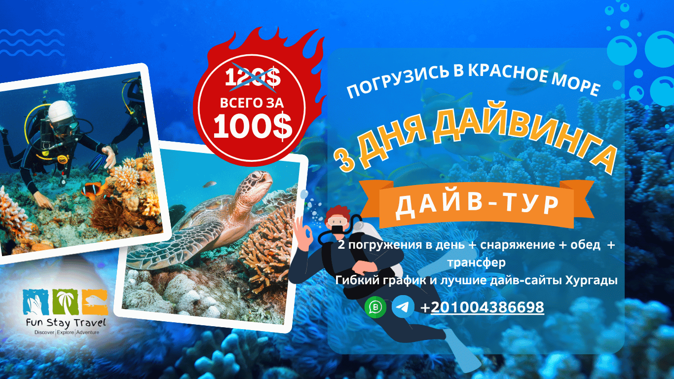 3 дня дайвинга в Хургаде —  для сертифицированных дайверов, 2 погружения в день, обед и снаряжение