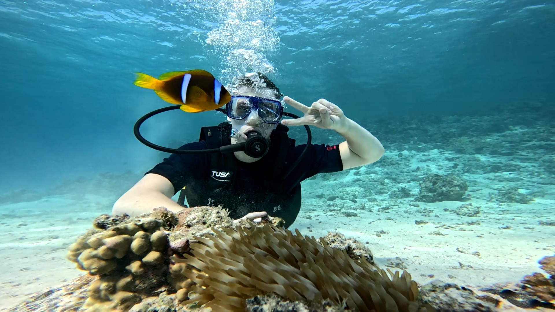 дайвинг для начинающих в хургаде